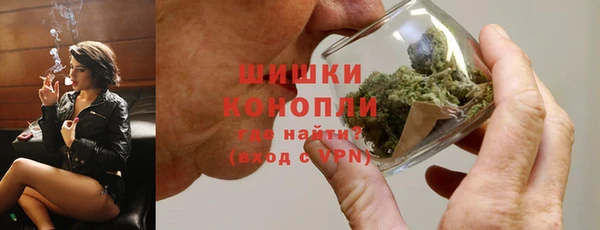 гашик Белокуриха
