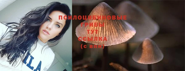 гашик Беломорск