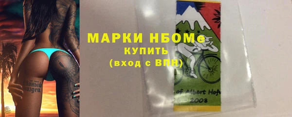 гашик Белокуриха