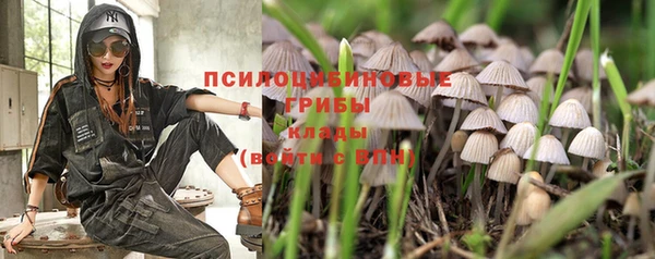 гашик Беломорск