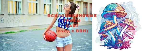 гашик Белокуриха