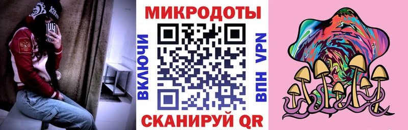 Галлюциногенные грибы Psilocybe Сковородино